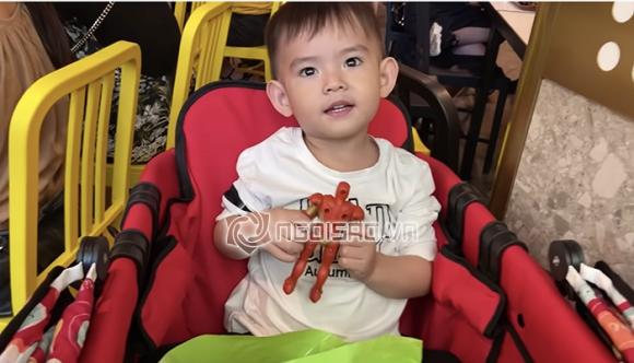 NSƯT Kim Tử Long, sao Việt
